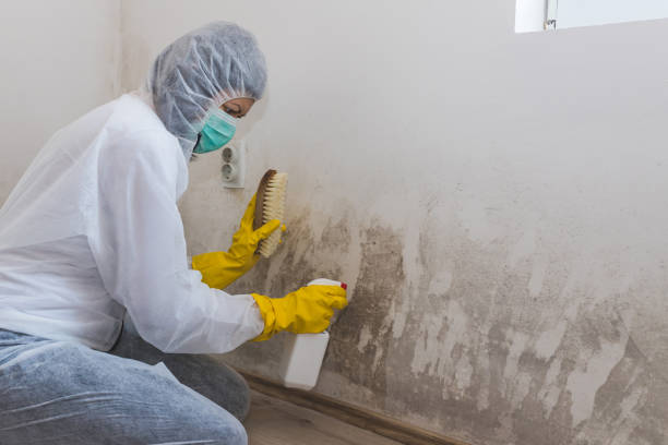 Water Damage Restoration in East Ridge, TN