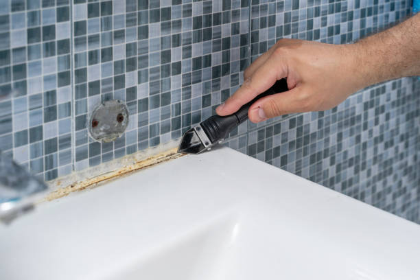 Trusted East Ridge, TN Mold Removal Experts